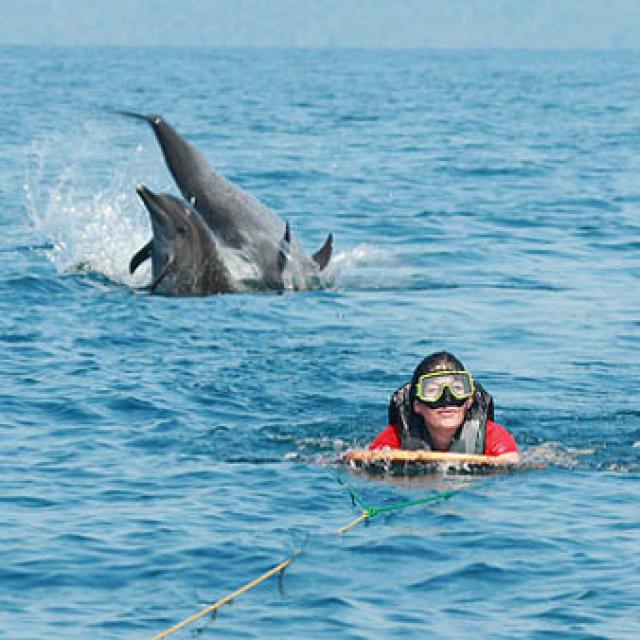 Photos for house 641853