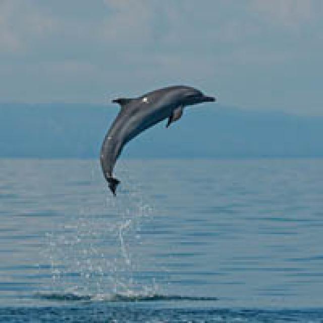 Photos for house 641853