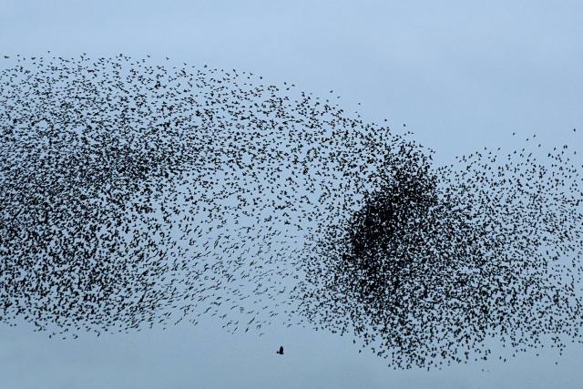 Photos for house 641859