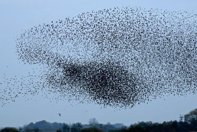 Photos for house 641860