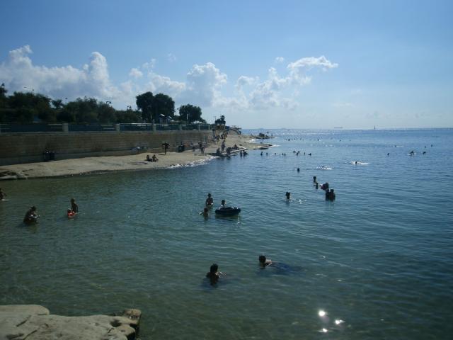 Photos for house 641862