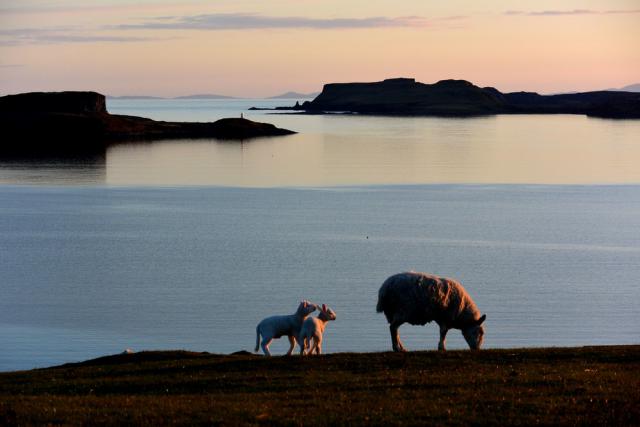 Photos for house 641864