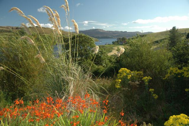 Photos for house 641864