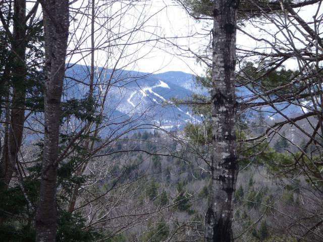 Photos for house 641883