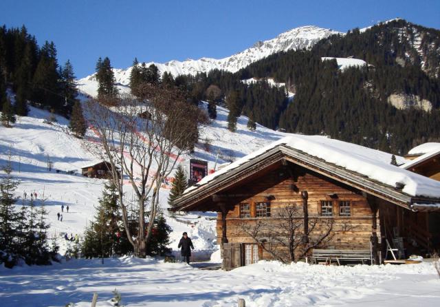 Photos for house 641885