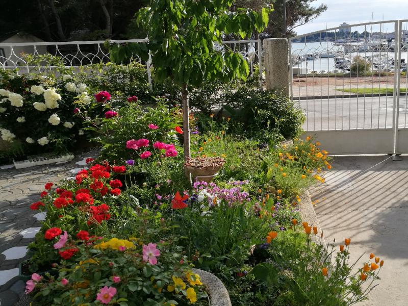 Photos for house 641896