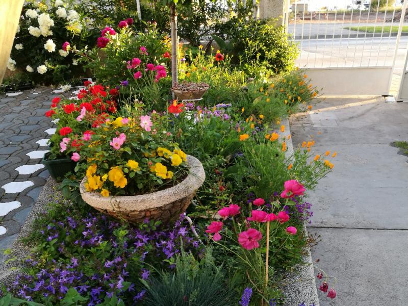 Photos for house 641896