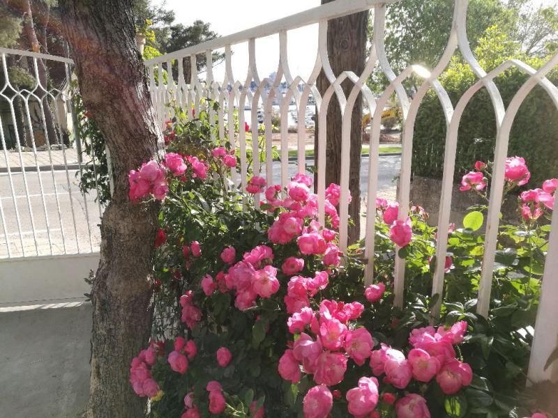 Photos for house 641896