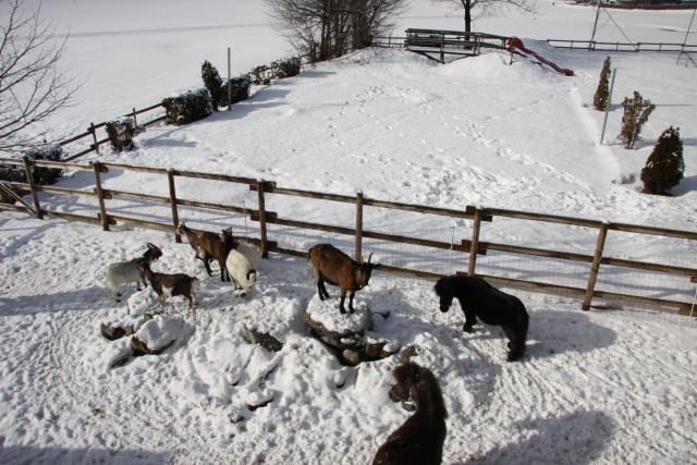 Photos for house 641901