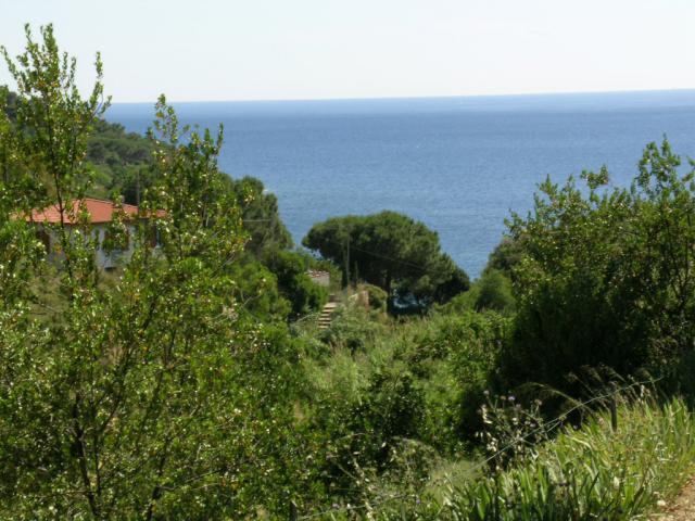 Photos for house 641904