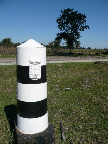 Photos for house 641921