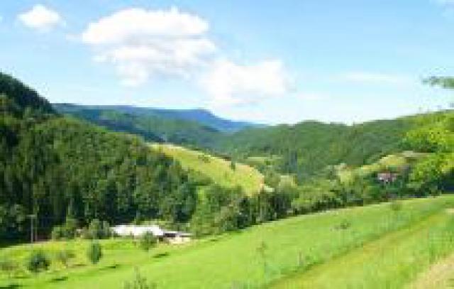 Photos for house 641928