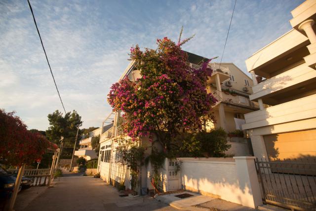 Photos for house 641930