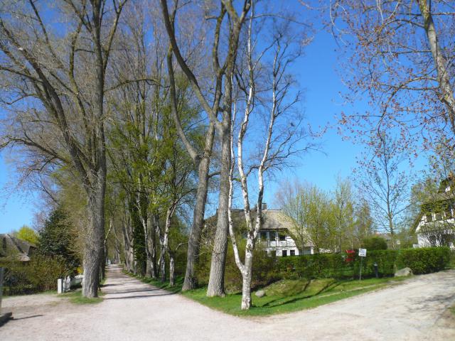 Photos for house 641940