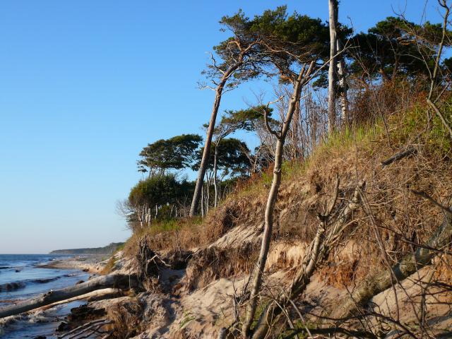 Photos for house 641940