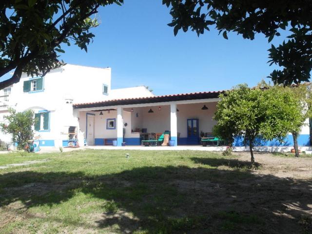 Photos for house 641974