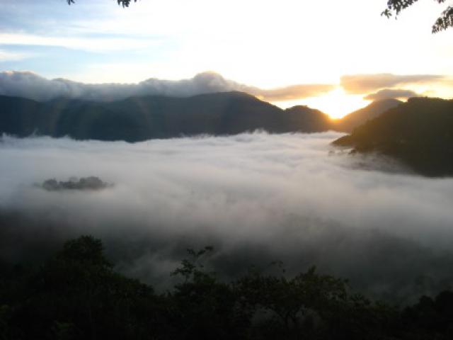 Photos for house 641977