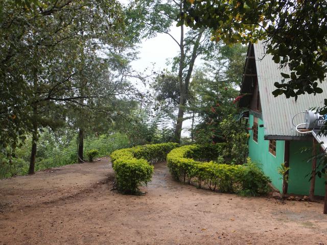 Photos for house 641977