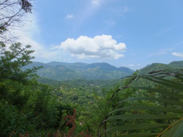 Photos for house 641977