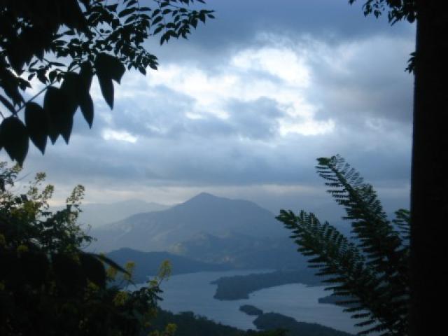 Photos for house 641977