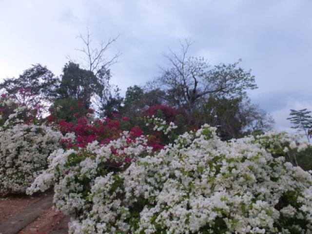 Photos for house 641977