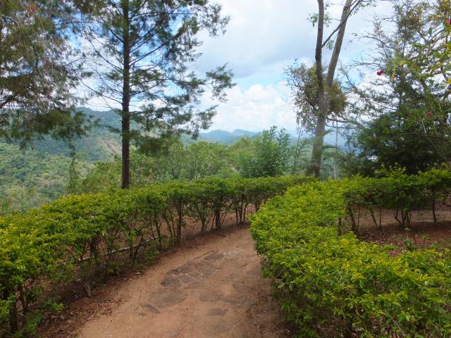 Photos for house 641977