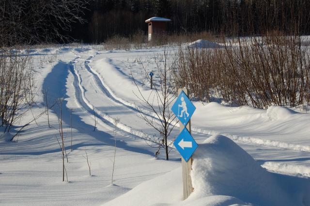 Photos for house 641992