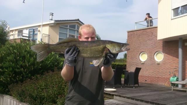 Photos for house 642000