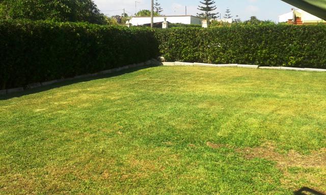 Photos for house 642012