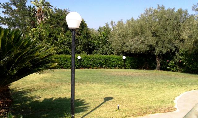 Photos for house 642014