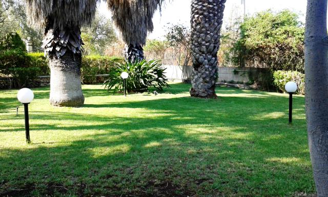 Photos for house 642014