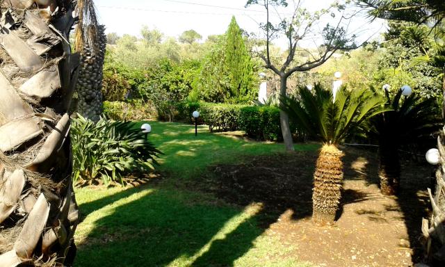 Photos for house 642014