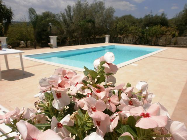 Photos for house 642015