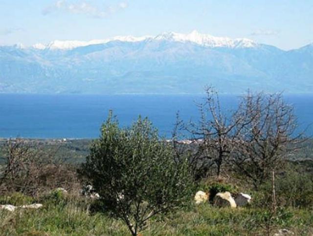 Photos for house 642018