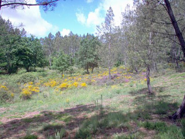 Photos for house 642031