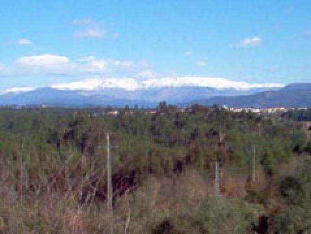 Photos for house 642031