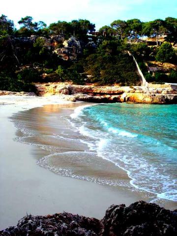 Photos for house 642056