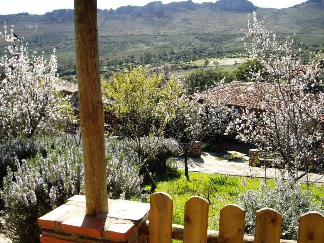 Photos for house 642068