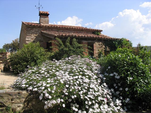 Photos for house 642071