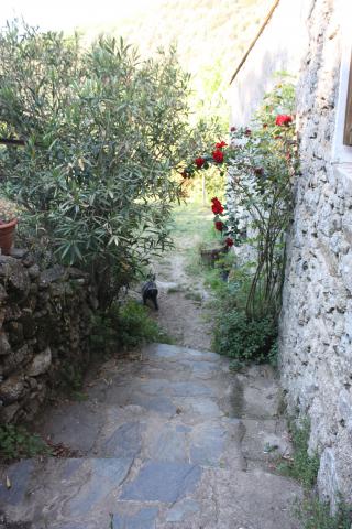 Photos for house 642095