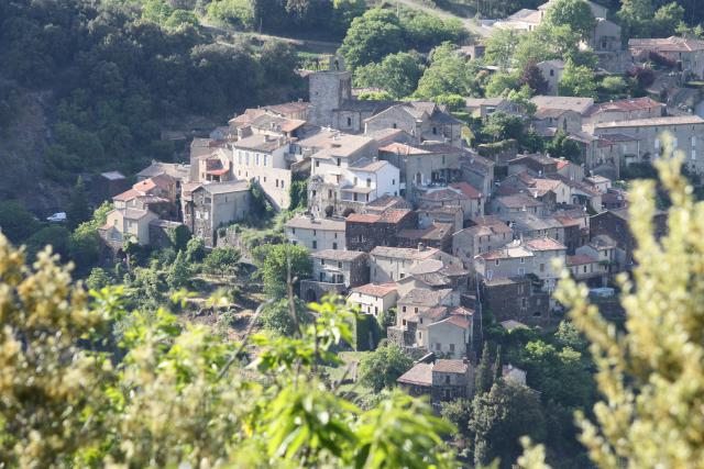 Photos for house 642095