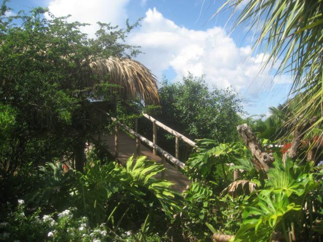 Photos for house 642102