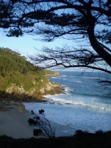 Photos for house 640211