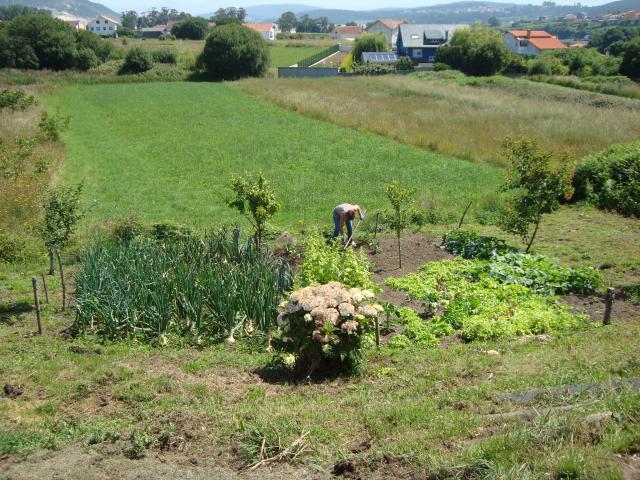 Photos for house 640211