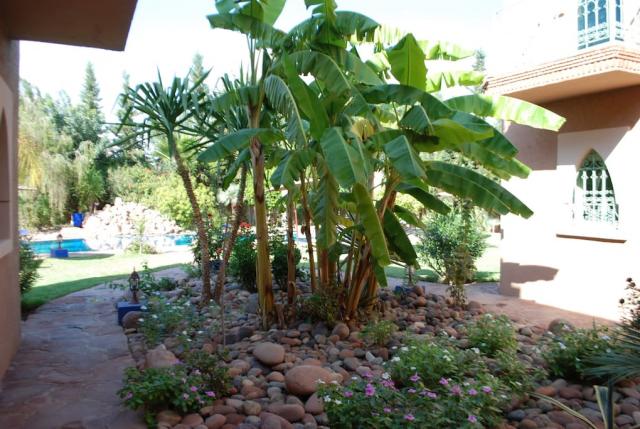 Photos for house 642110