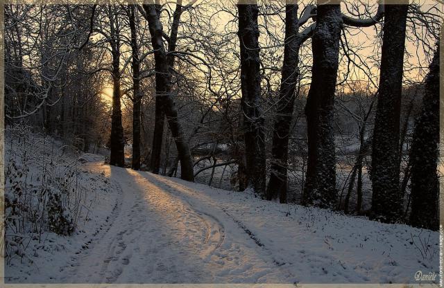 Photos for house 642113