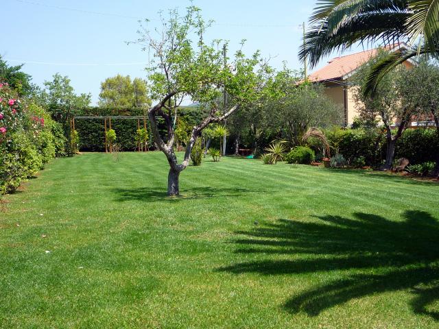 Photos for house 642116