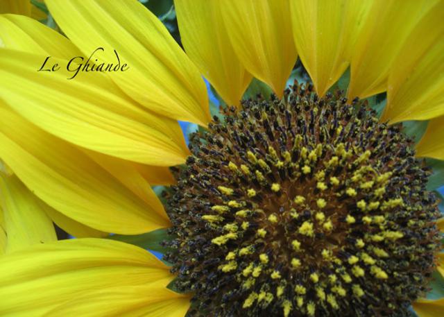 Photos for house 642123