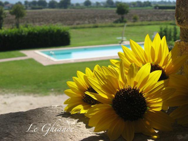 Photos for house 642123