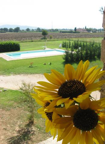 Photos for house 642123